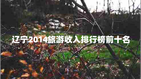 遼寧2014旅游收入排行榜前十名