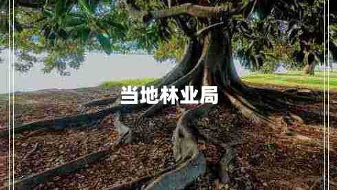 當地林業(yè)局