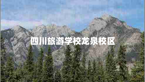 四川旅游學(xué)校龍泉校區