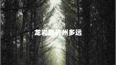 龍巖到杭州多遠