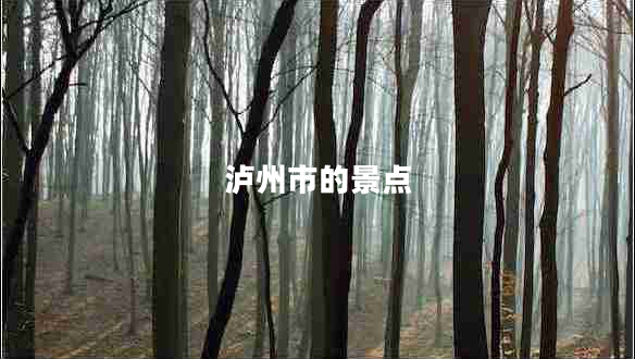 瀘州市的景點