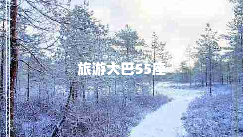 旅游大巴55座