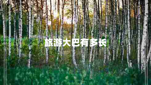 旅游大巴有多長(cháng)