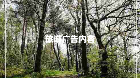 旅游廣告內容