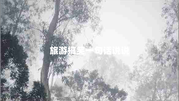 旅游搞笑一句話(huà)說(shuō)說(shuō)