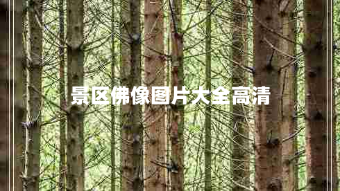 景區佛像圖片大全高清