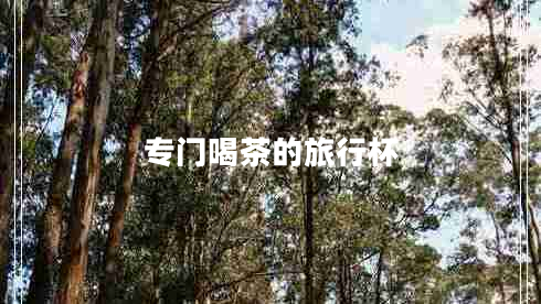 專(zhuān)門(mén)喝茶的旅行杯