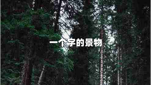 一個(gè)字的景物