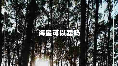 海星可以賣(mài)嗎