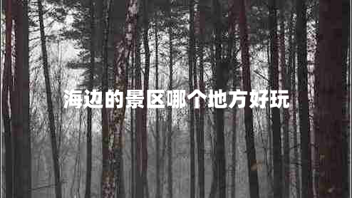 海邊的景區哪個(gè)地方好玩