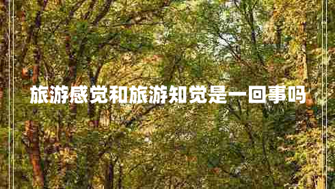 旅游感覺(jué)和旅游知覺(jué)是一回事嗎