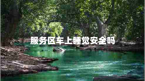 服務(wù)區車(chē)上睡覺(jué)安全嗎