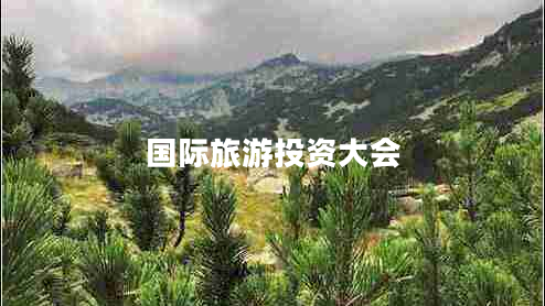 國際旅游投資大會(huì )