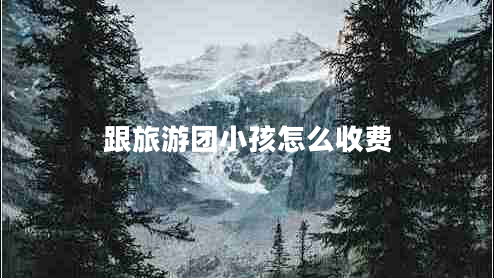 跟旅游團小孩怎么收費