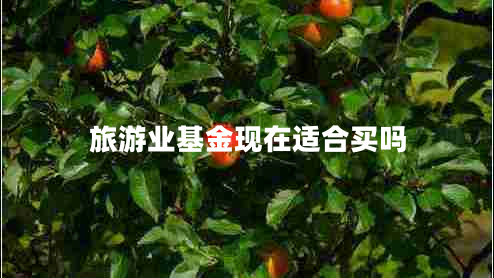 旅游業(yè)基金現在適合買(mǎi)嗎