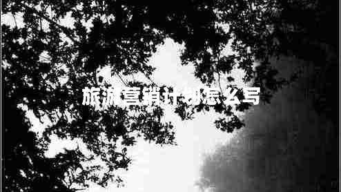旅游營(yíng)銷(xiāo)計劃怎么寫(xiě)