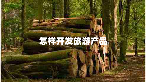 怎樣開(kāi)發(fā)旅游產(chǎn)品