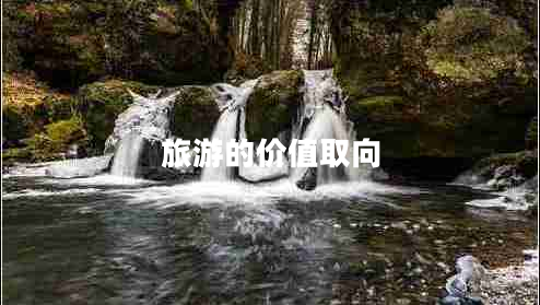 旅游的價(jià)值取向