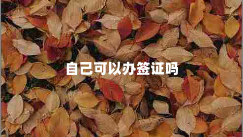 自己可以辦簽證嗎