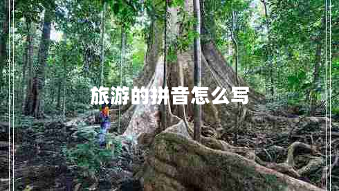 旅游的拼音怎么寫(xiě)