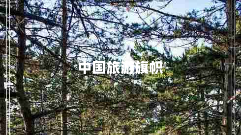 中國旅游旗幟