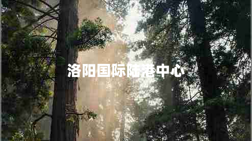 洛陽(yáng)國際陸港中心