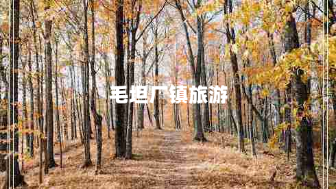 毛坦廠(chǎng)鎮旅游