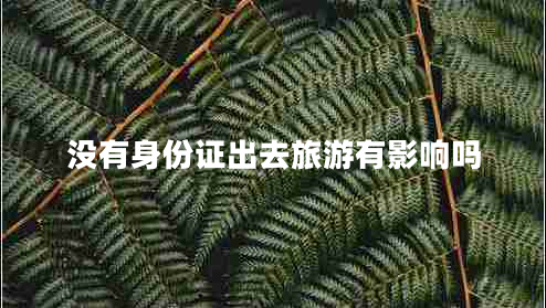 沒有身份證出去旅游有影響嗎