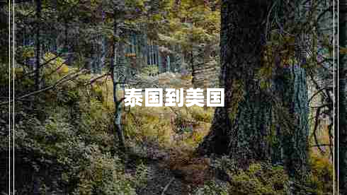 泰國到美國