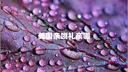 美國親吻禮親哪