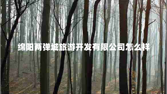 綿陽(yáng)兩彈城旅游開(kāi)發(fā)有限公司怎么樣