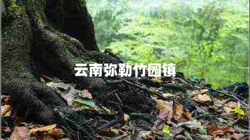 云南彌勒竹園鎮