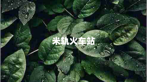 米軌火車(chē)站