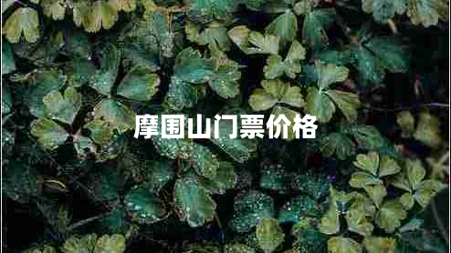摩圍山門(mén)票價(jià)格
