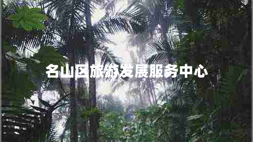 名山區旅游發(fā)展服務(wù)中心