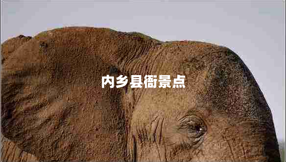 內鄉縣衙景點(diǎn)
