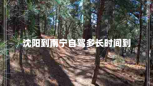 沈陽到南寧自駕多長(zhǎng)時(shí)間到