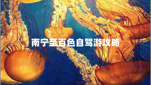 南寧至百色自駕游攻略