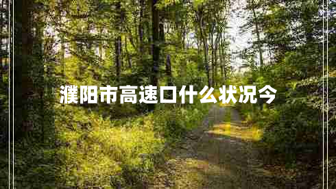 濮陽(yáng)市高速口什么狀況今
