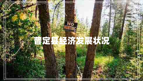普定縣經(jīng)濟發(fā)展狀況