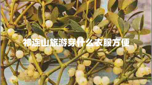 祁連山旅游穿什么衣服方便