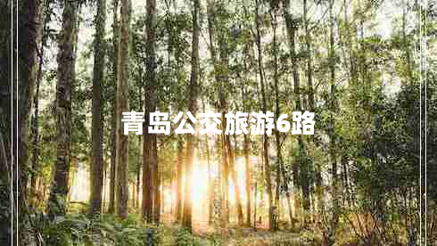 青島公交旅游6路