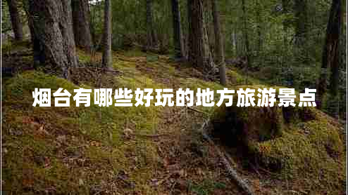 煙臺有哪些好玩的地方旅游景點(diǎn)