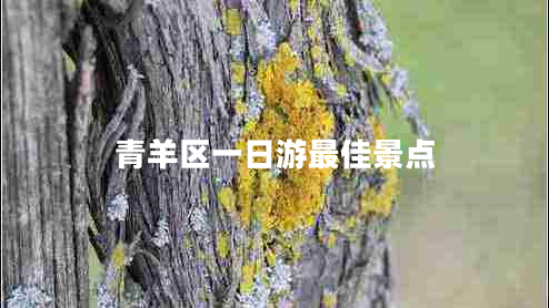 青羊區一日游最佳景點(diǎn)
