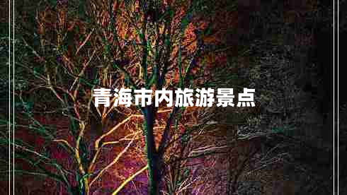 青海市內旅游景點(diǎn)