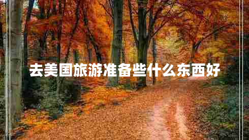 去美國旅游準備些什么東西好