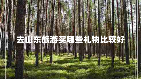去山東旅游買(mǎi)哪些禮物比較好