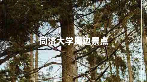 同濟大學(xué)周邊景點(diǎn)