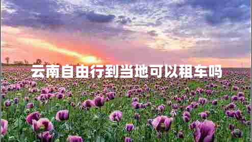 云南自由行到當地可以租車(chē)嗎