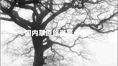國內草原旅游景點(diǎn)排行
